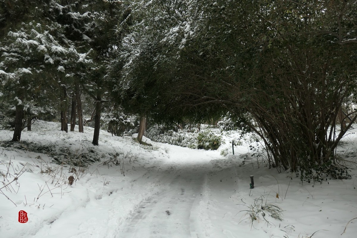 北京北海公园雪景