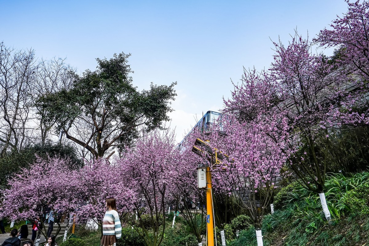 半山崖步道风景线