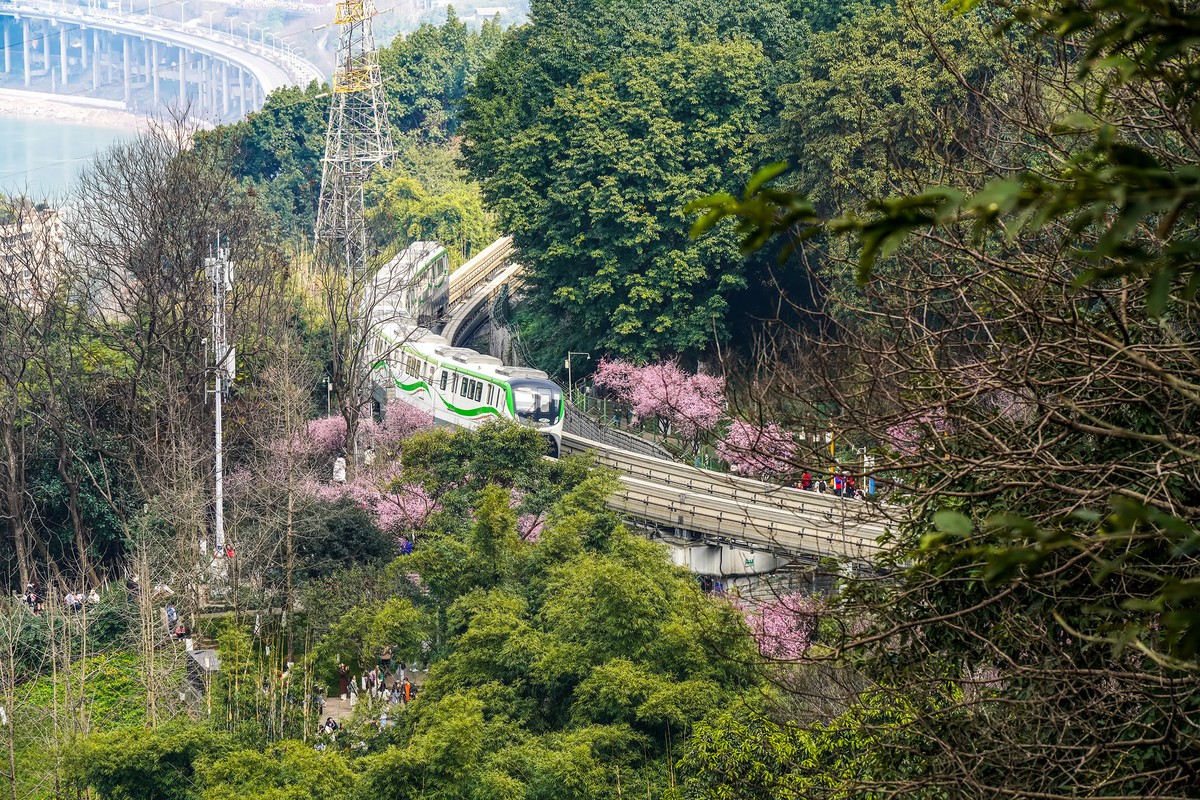 半山崖步道风景线