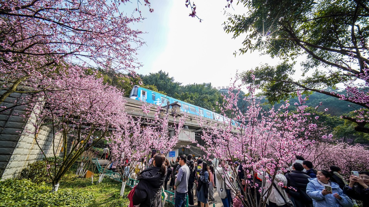 半山崖步道风景线