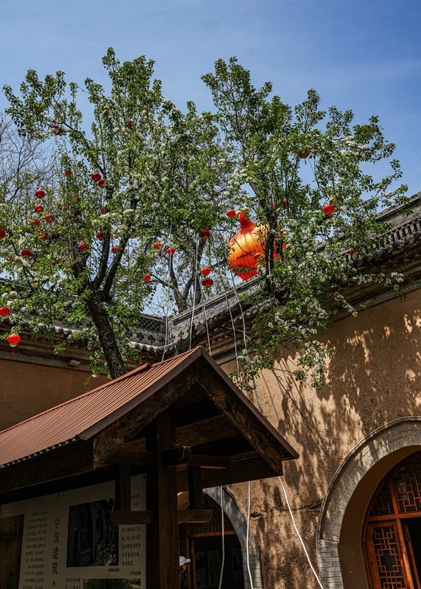 春日河南行--陕州地坑院【5】