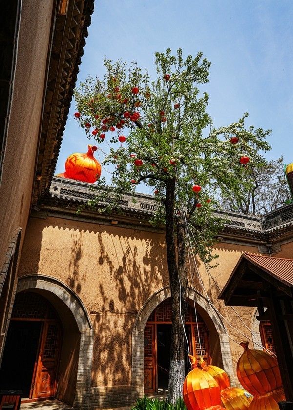 春日河南行--陕州地坑院【5】