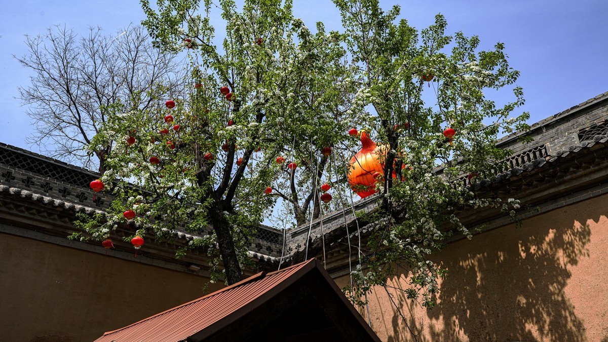 春日河南行--陕州地坑院【5】