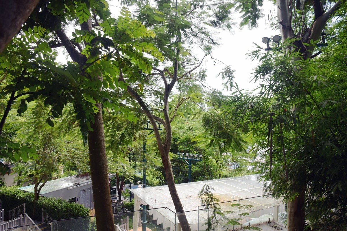 2024夏 海南环岛行（99）尝到了海南正宗的老爸茶