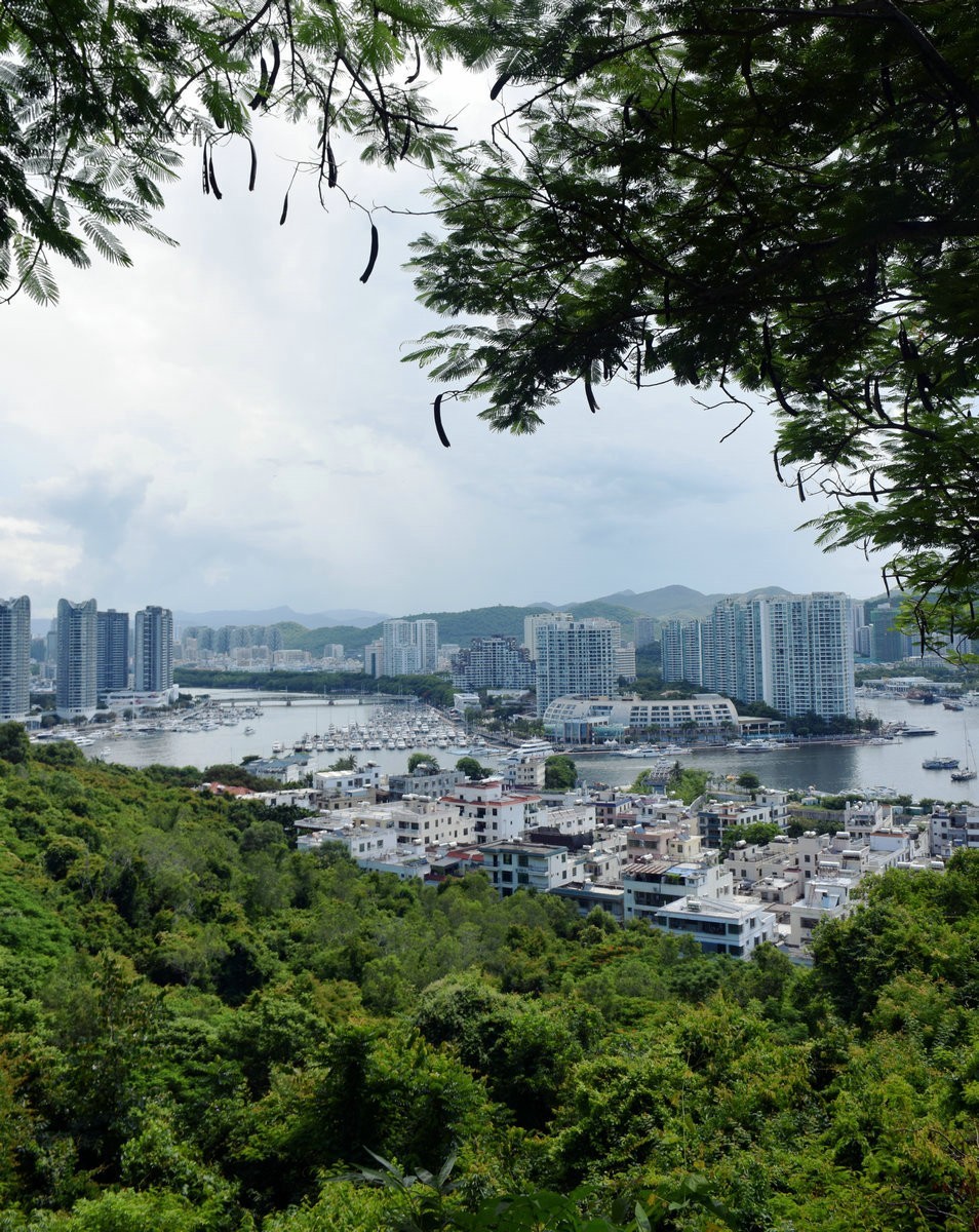 2024夏 海南环岛行（99）尝到了海南正宗的老爸茶