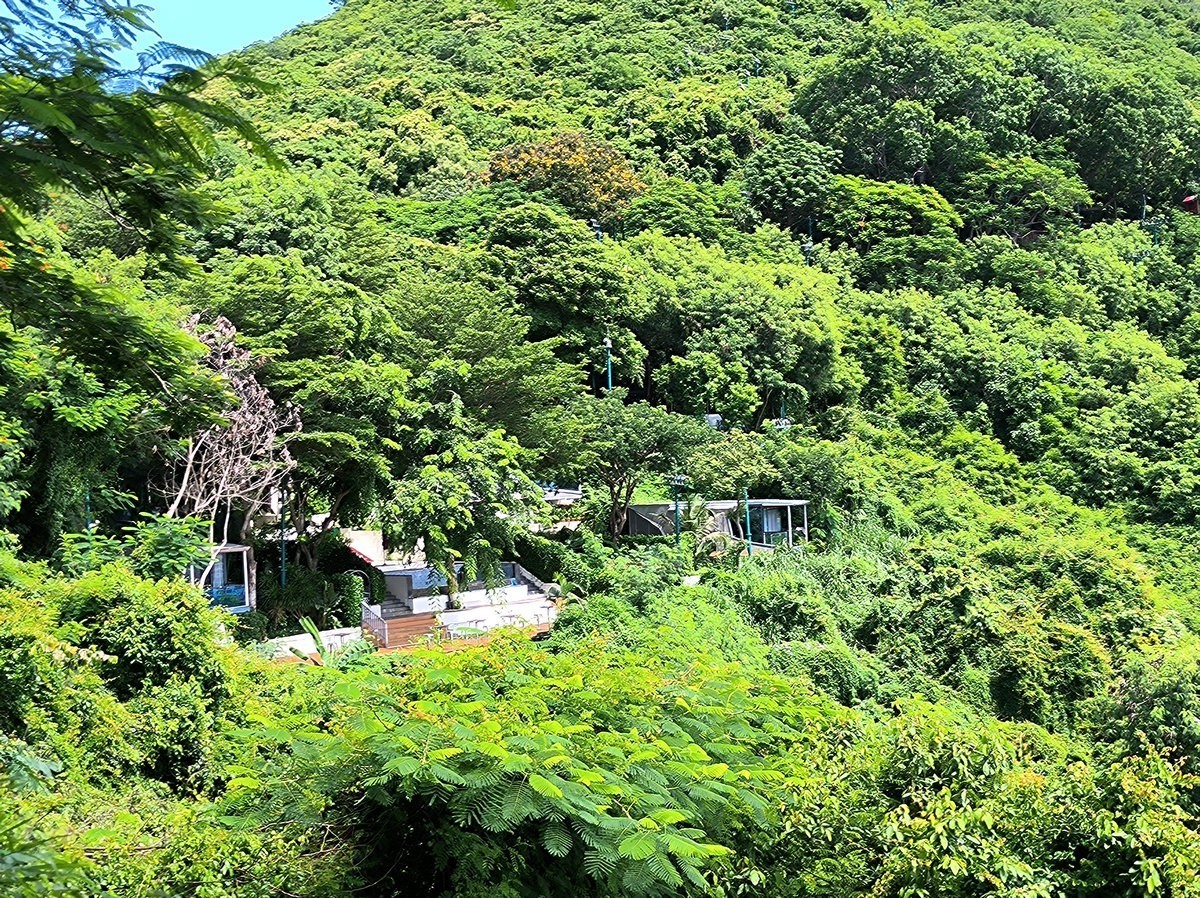 2024夏 海南环岛行（99）尝到了海南正宗的老爸茶