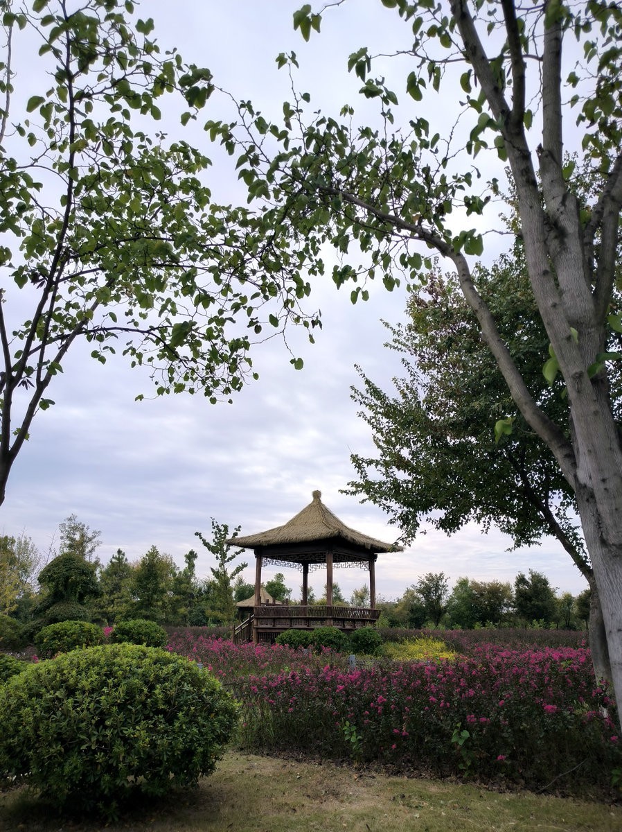 2024秋 江汉行（3）走进洪湖江滩公园