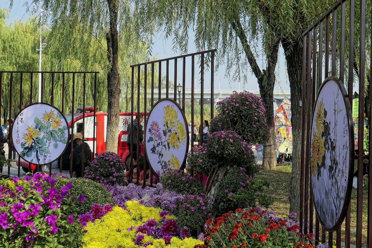 武汉江滩菊花展二
