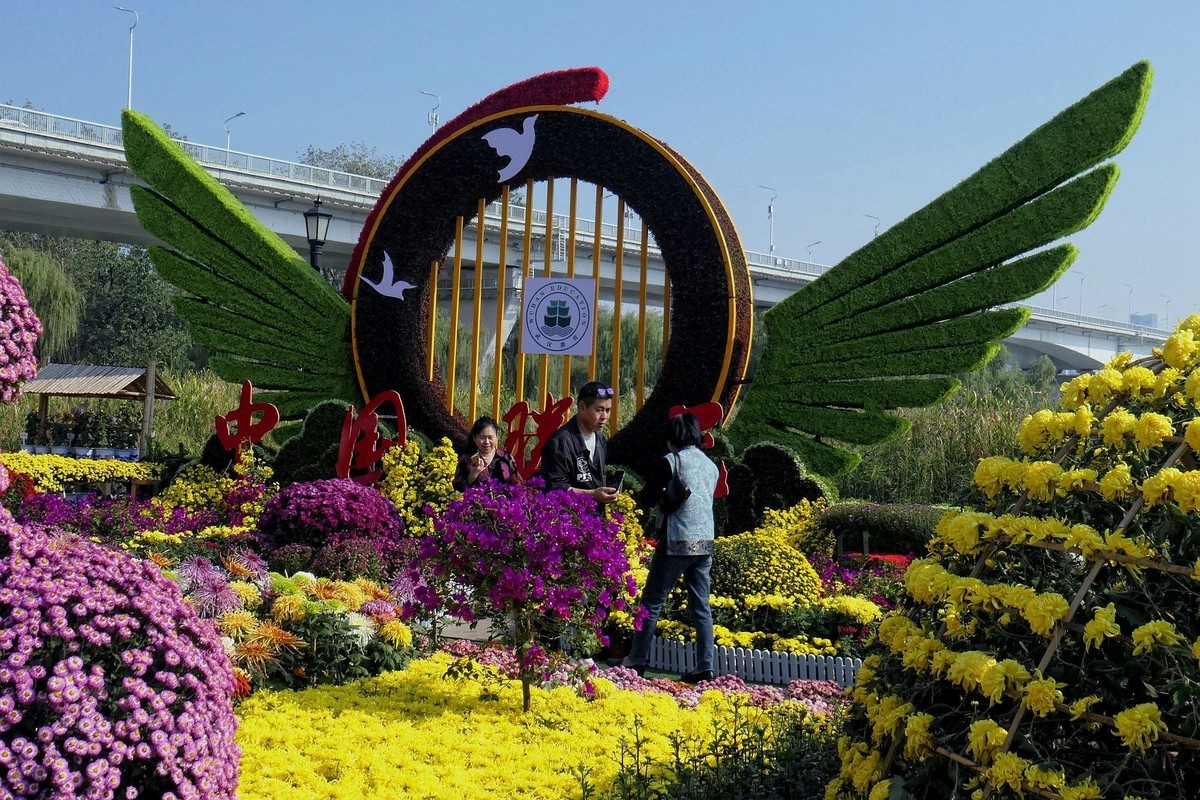 武汉江滩菊花展二