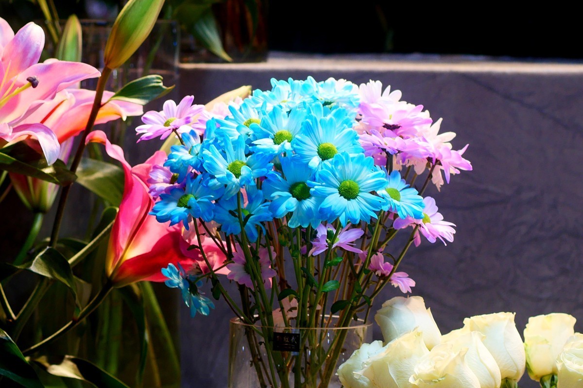 G100--一组鲜花 (下)