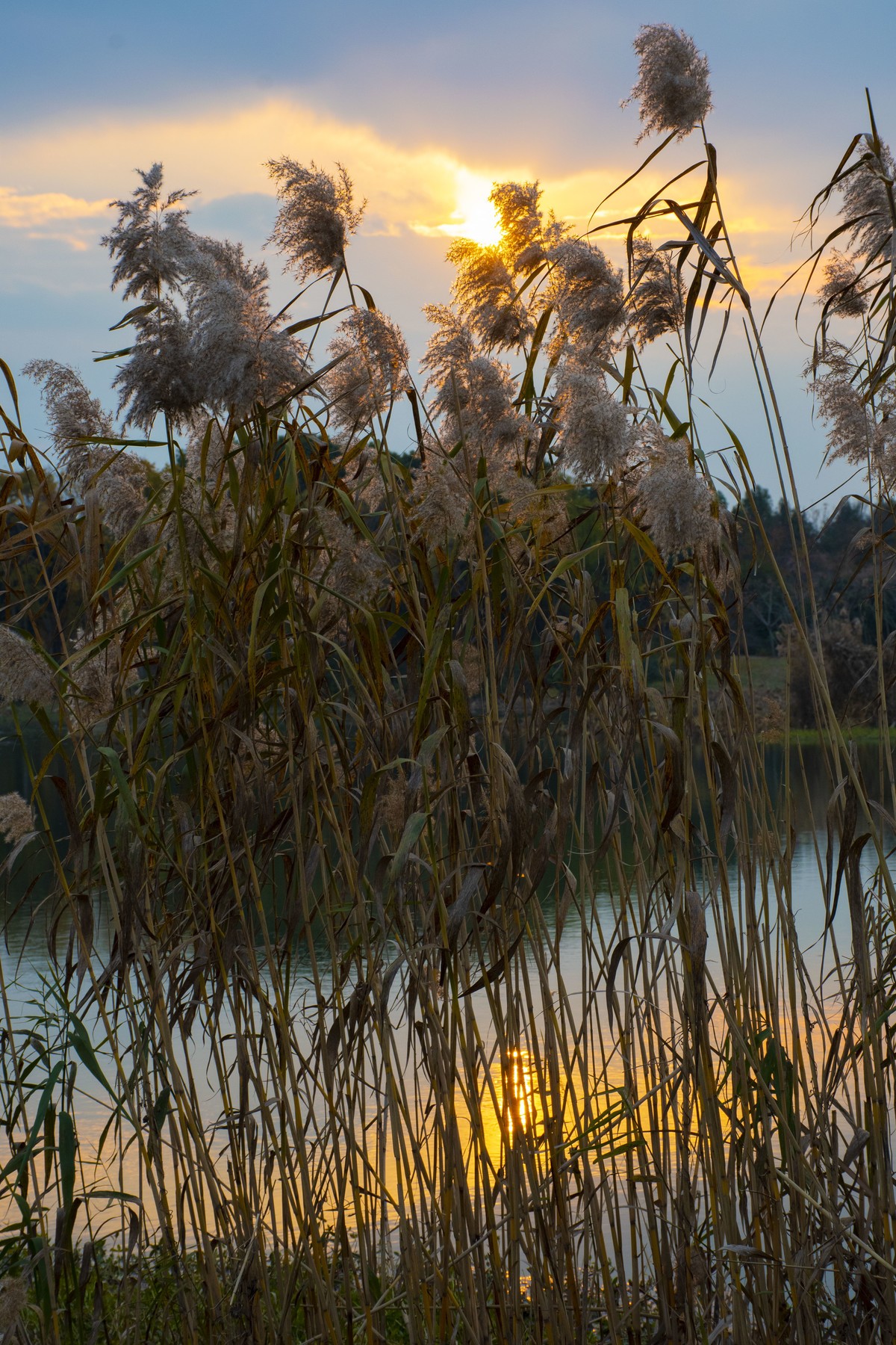 拍照狂魔之虎丘湿地三【10P】