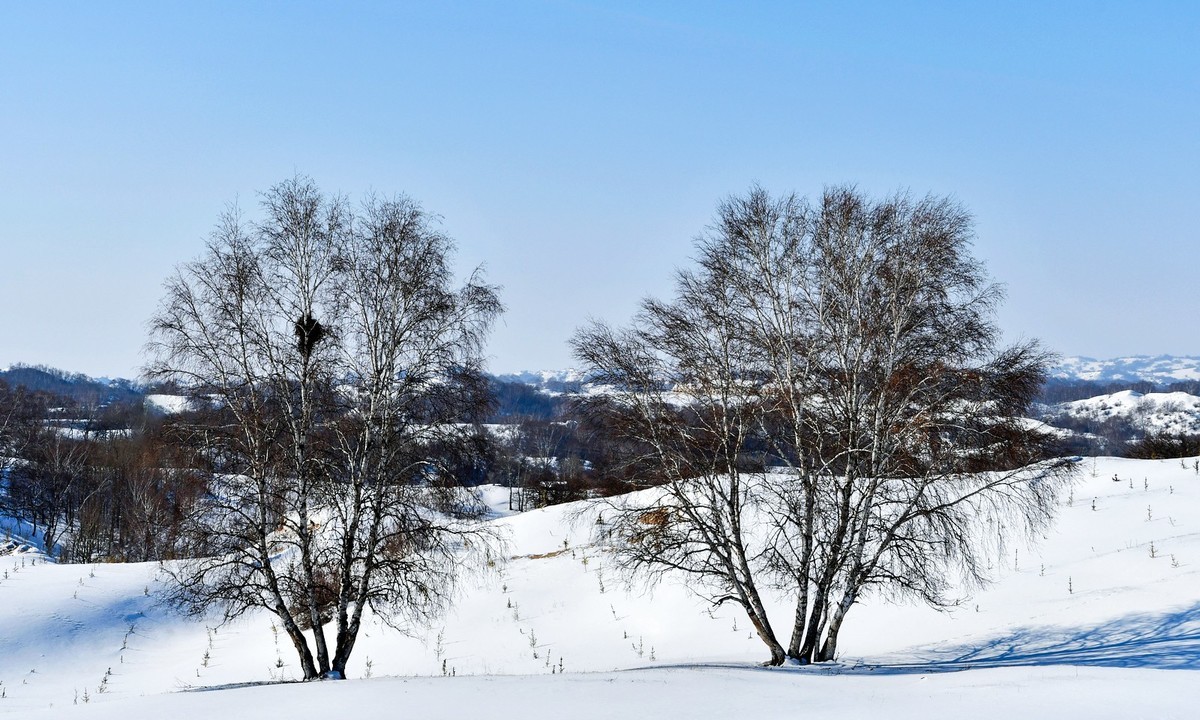 我只是把出去看到的随手记录下来（九十八）