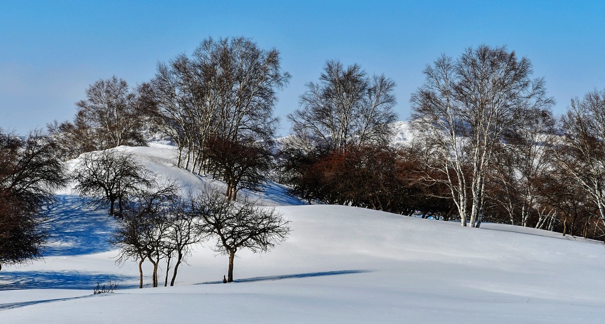 我只是把出去看到的随手记录下来（九十八）