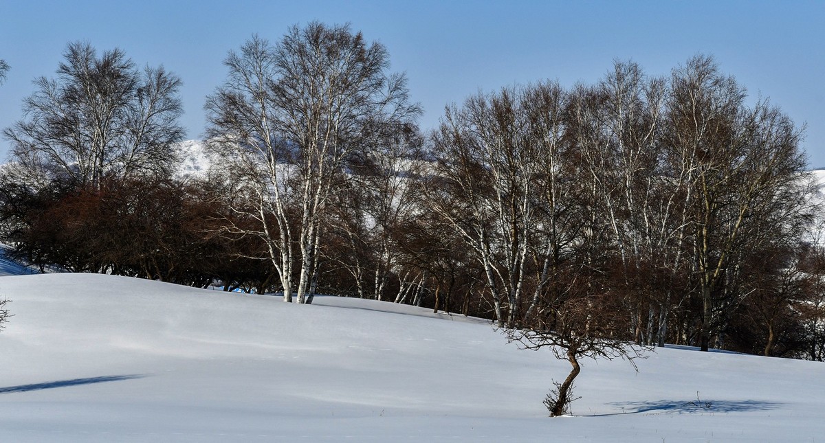 我只是把出去看到的随手记录下来（九十八）