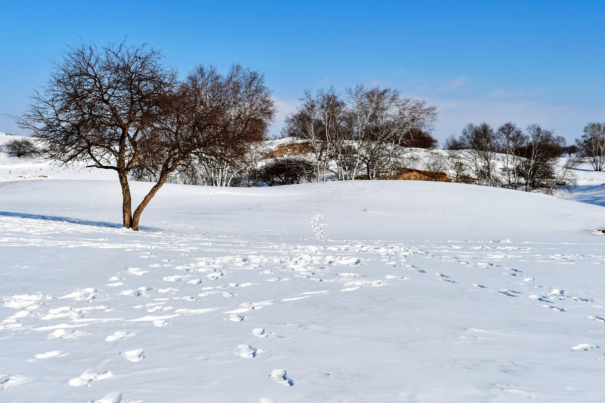 我只是把出去看到的随手记录下来（九十八）