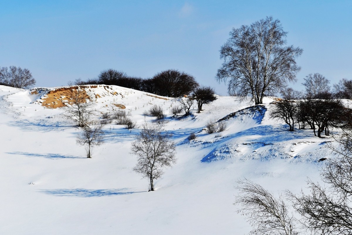 我只是把出去看到的随手记录下来（九十八）