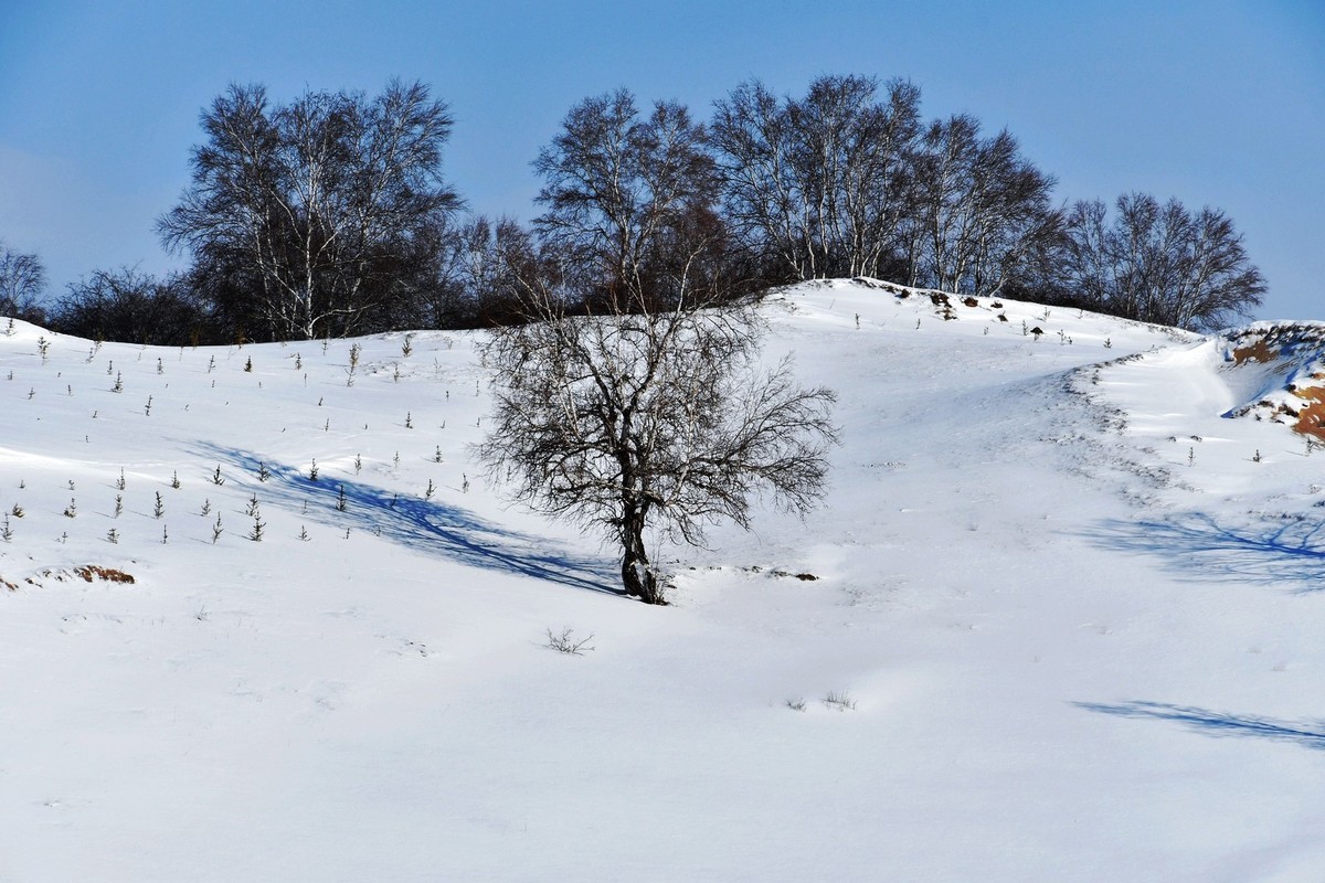 我只是把出去看到的随手记录下来（九十八）