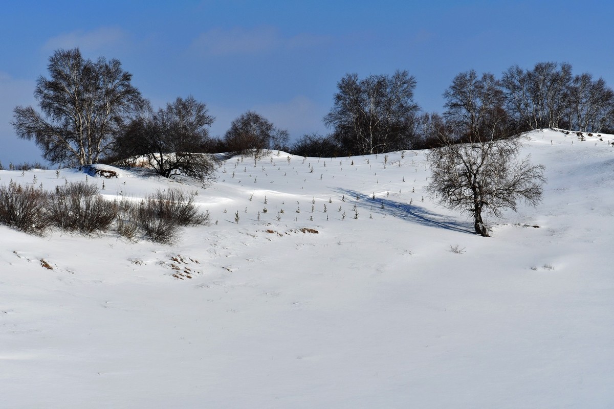 我只是把出去看到的随手记录下来（九十八）