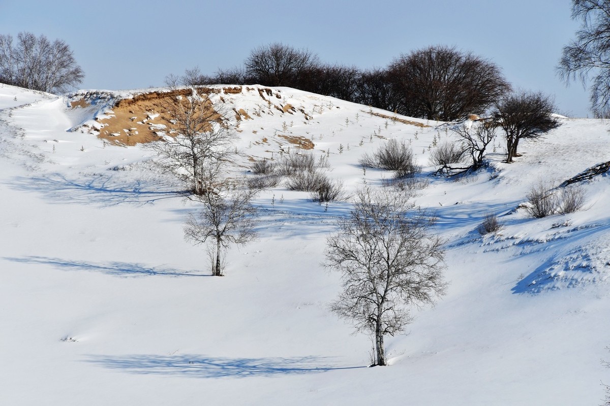 我只是把出去看到的随手记录下来（九十八）