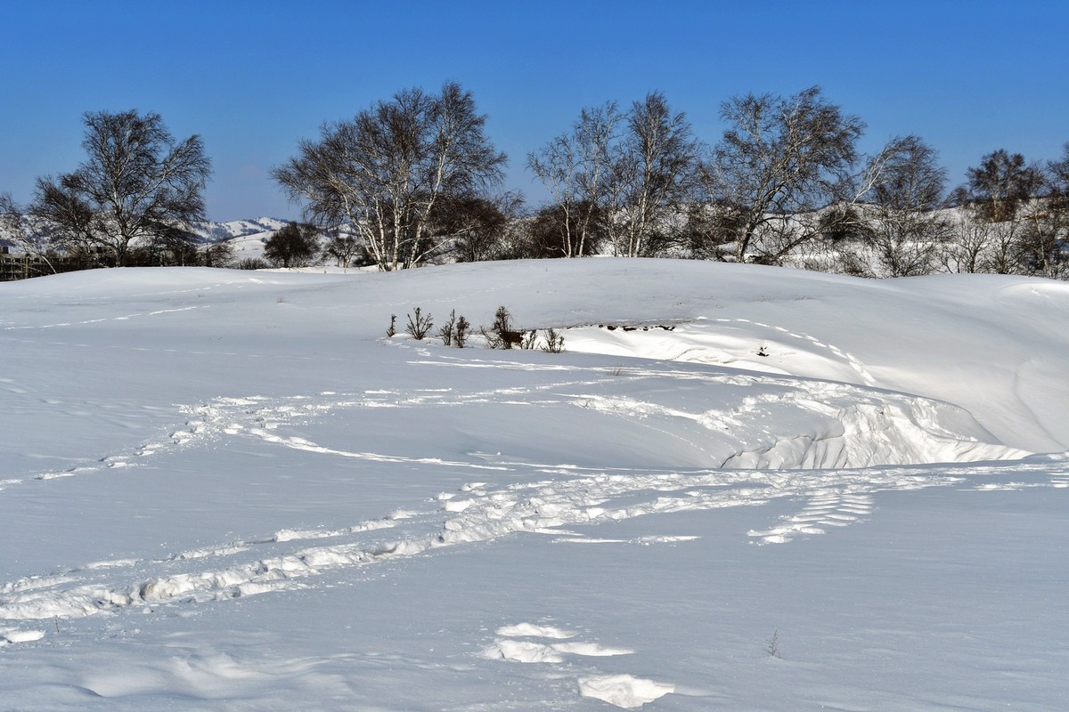 我只是把出去看到的随手记录下来（九十八）
