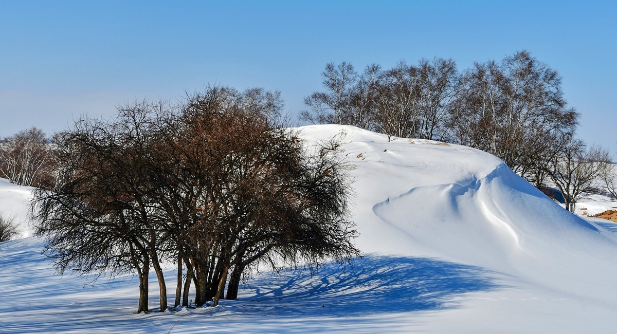 我只是把出去看到的随手记录下来（九十八）