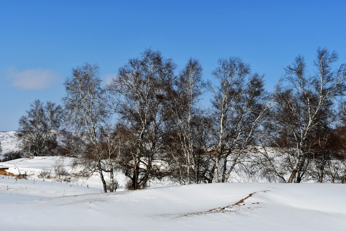我只是把出去看到的随手记录下来（九十八）