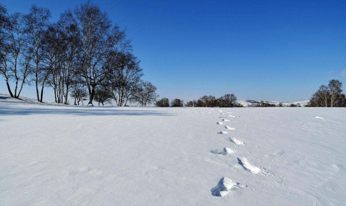 我只是把出去看到的随手记录下来（九十八）