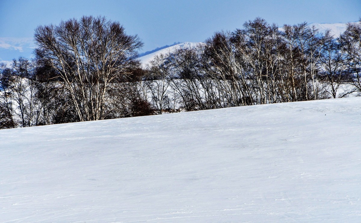 我只是把出去看到的随手记录下来（九十八）