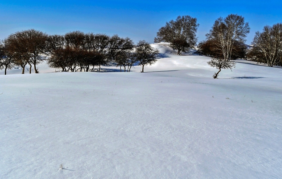 我只是把出去看到的随手记录下来（九十八）