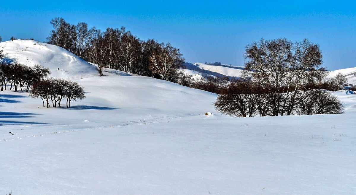 我只是把出去看到的随手记录下来（九十八）