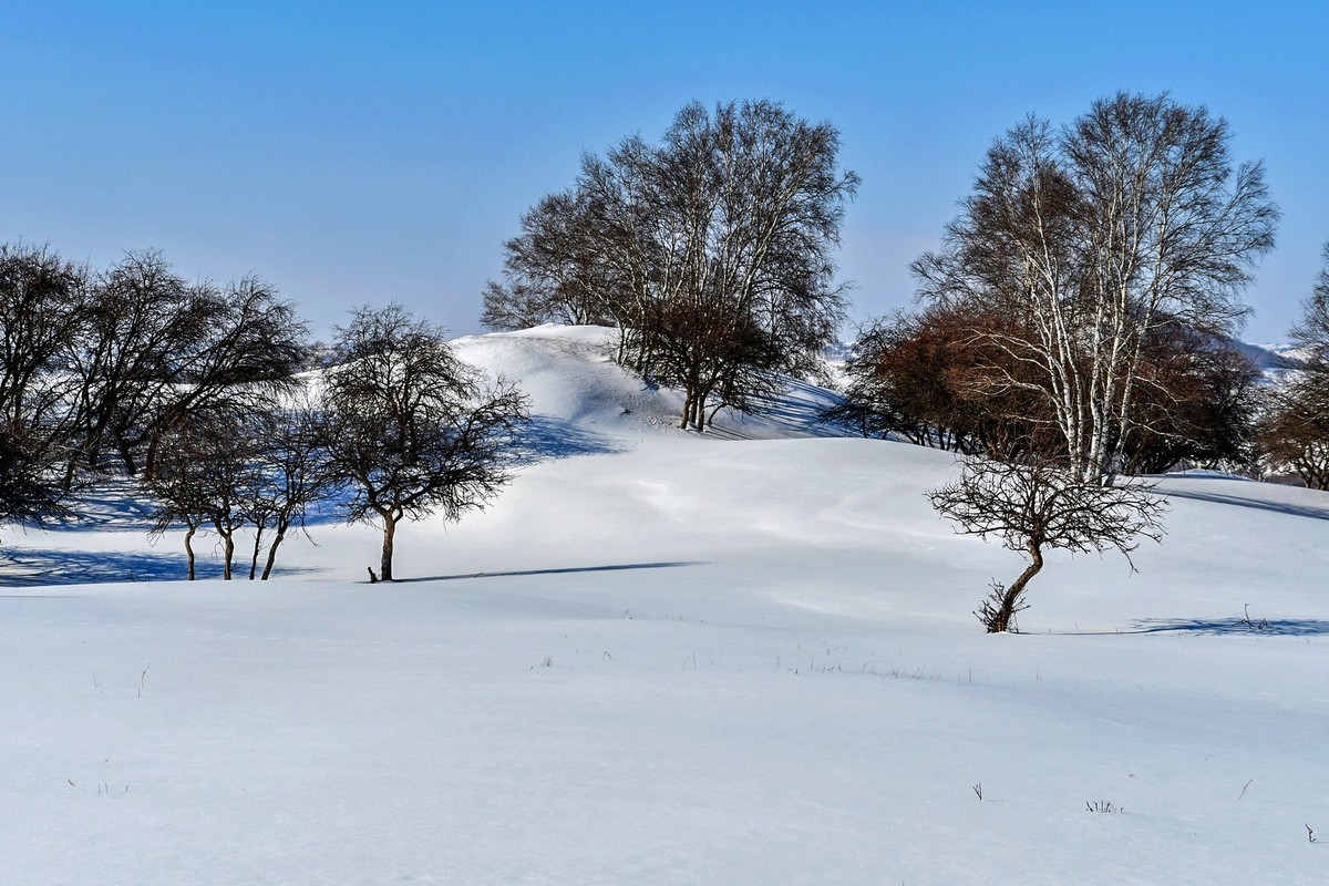 我只是把出去看到的随手记录下来（九十八）