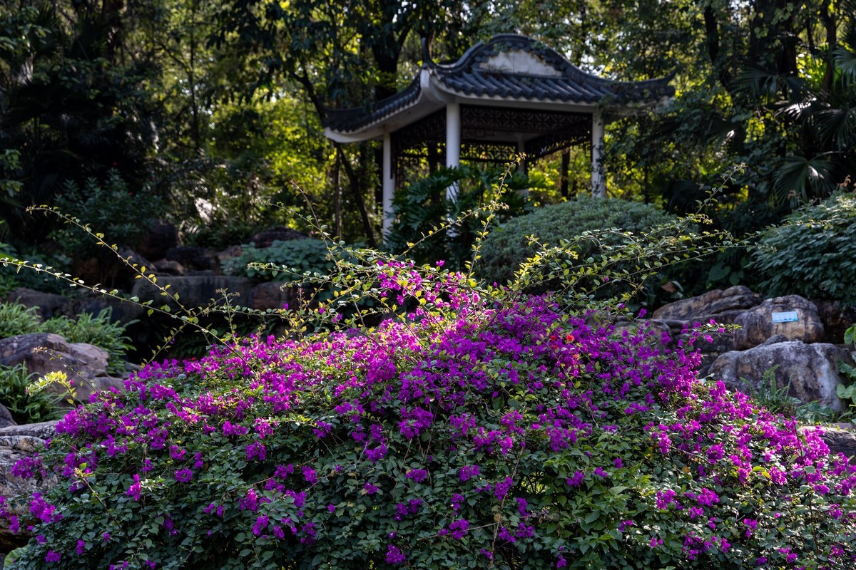 水博苑（15）完