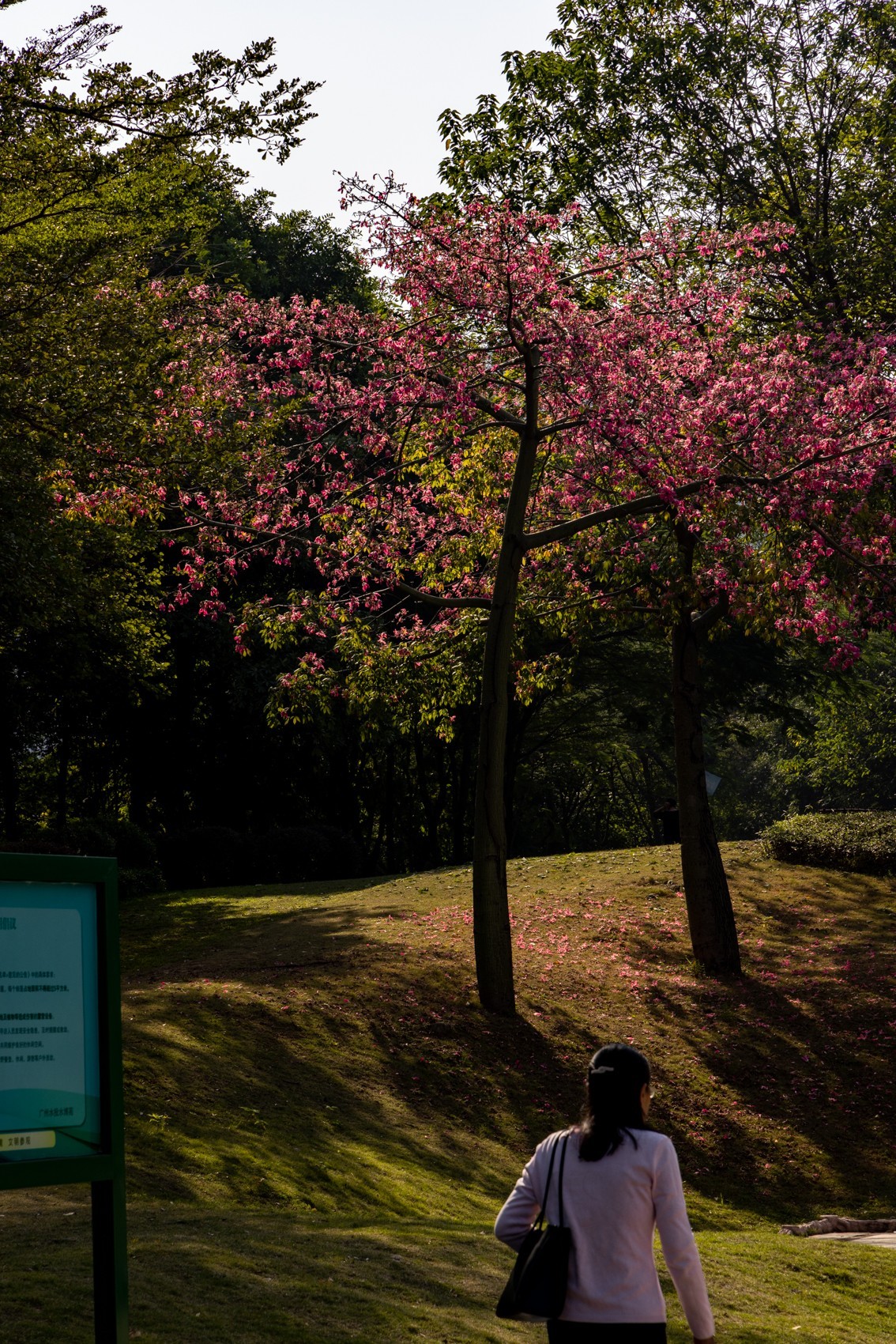 水博苑（15）完