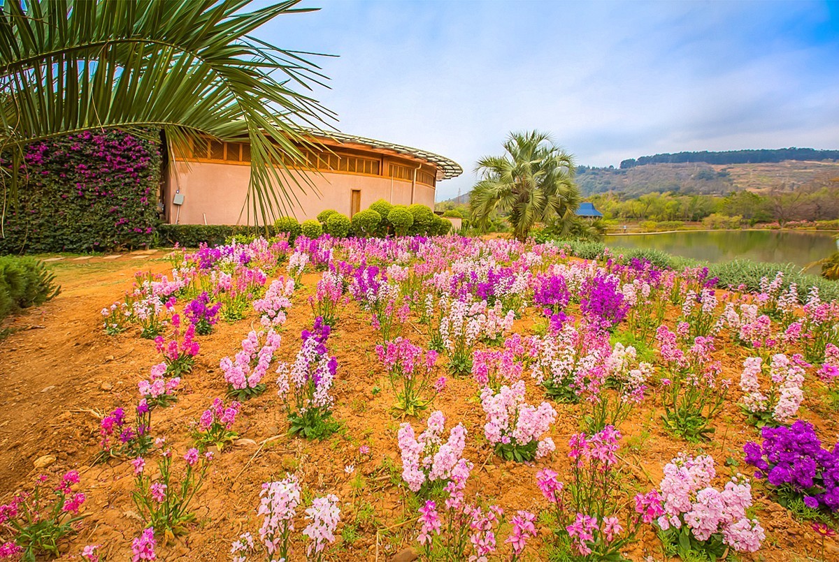 2025-05-27云南玉溪抚仙湖月亮湾湿地公园（二）
