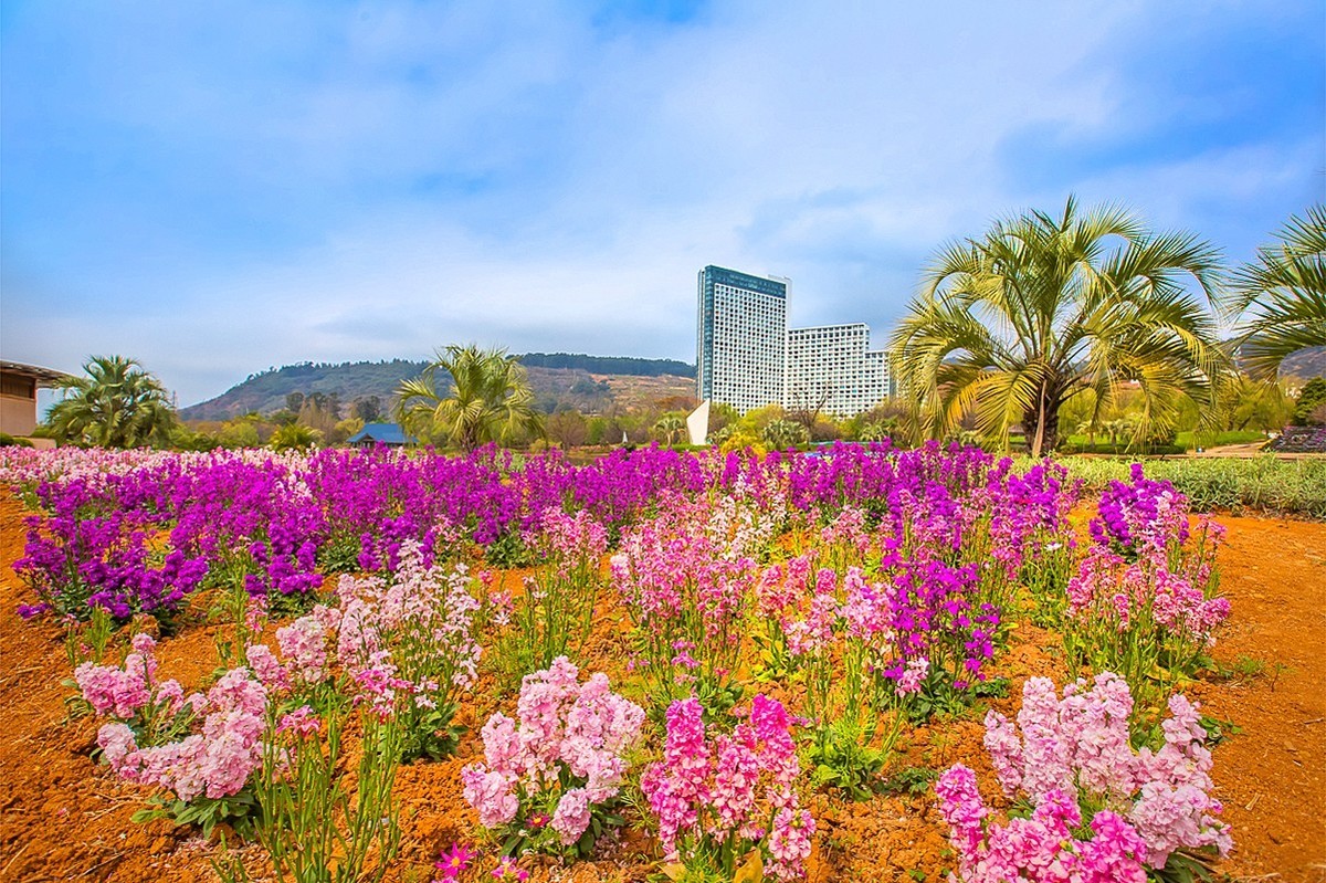 2025-05-27云南玉溪抚仙湖月亮湾湿地公园（二）