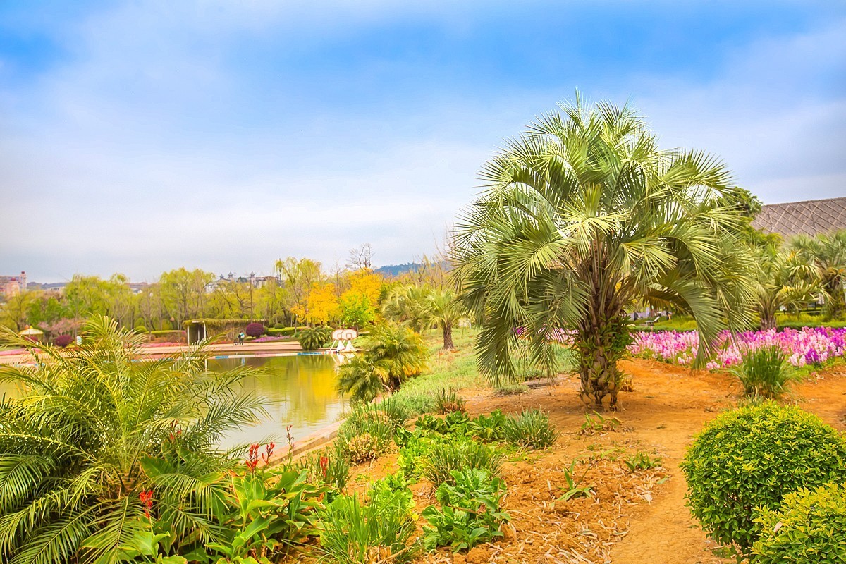 2025-05-27云南玉溪抚仙湖月亮湾湿地公园（二）