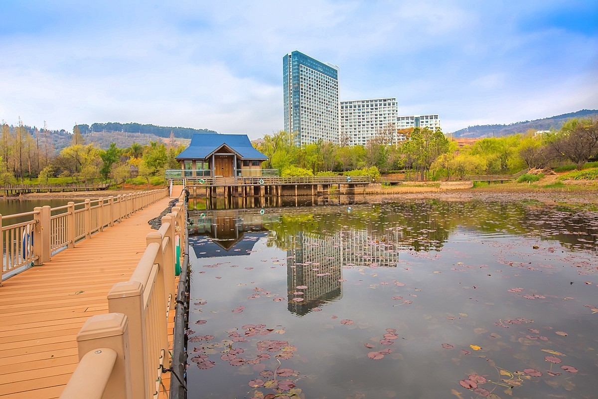 2025-05-27云南玉溪抚仙湖月亮湾湿地公园（二）