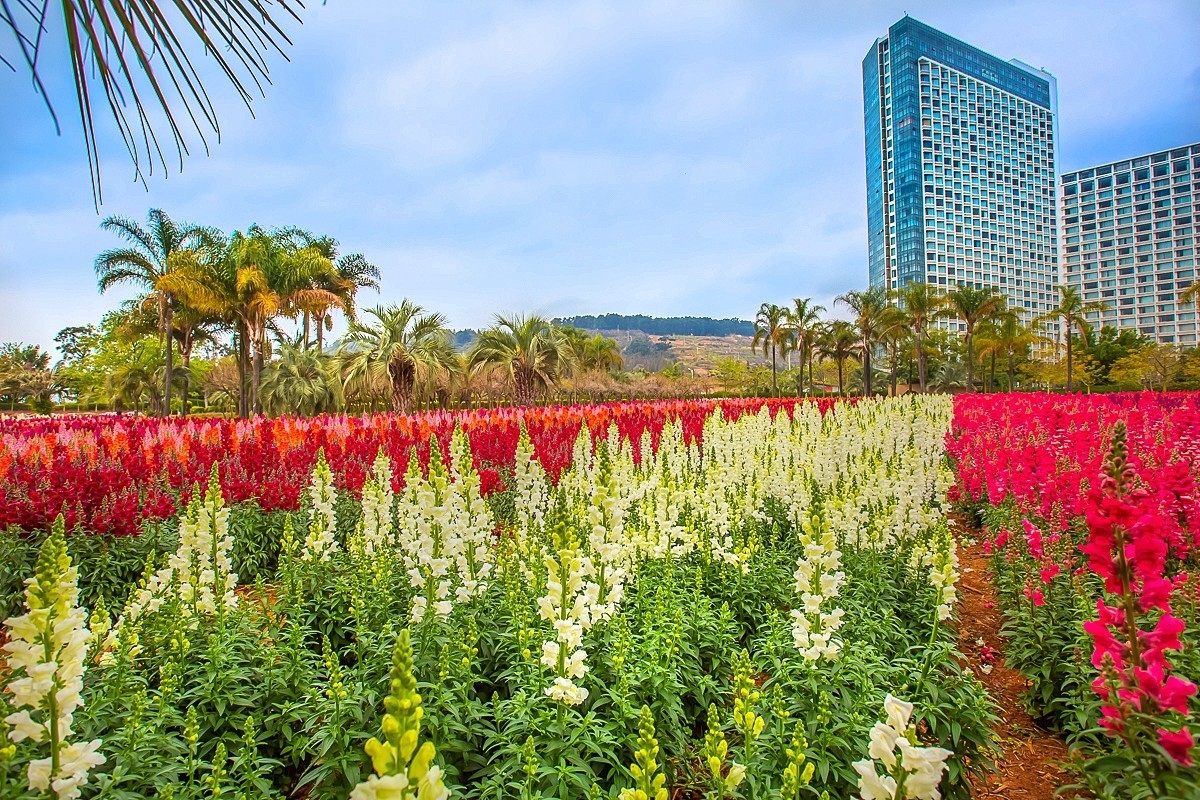 2025-05-27云南玉溪抚仙湖月亮湾湿地公园（二）