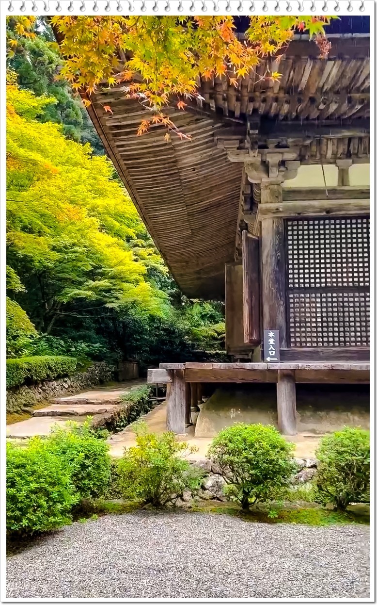 2025年- 人文风光纪实抓拍-0364