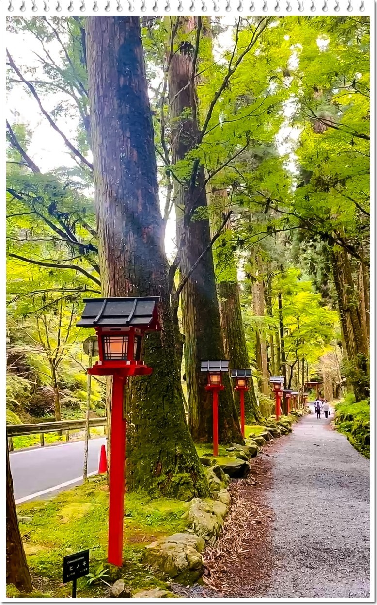 2025年- 人文风光纪实抓拍-0364