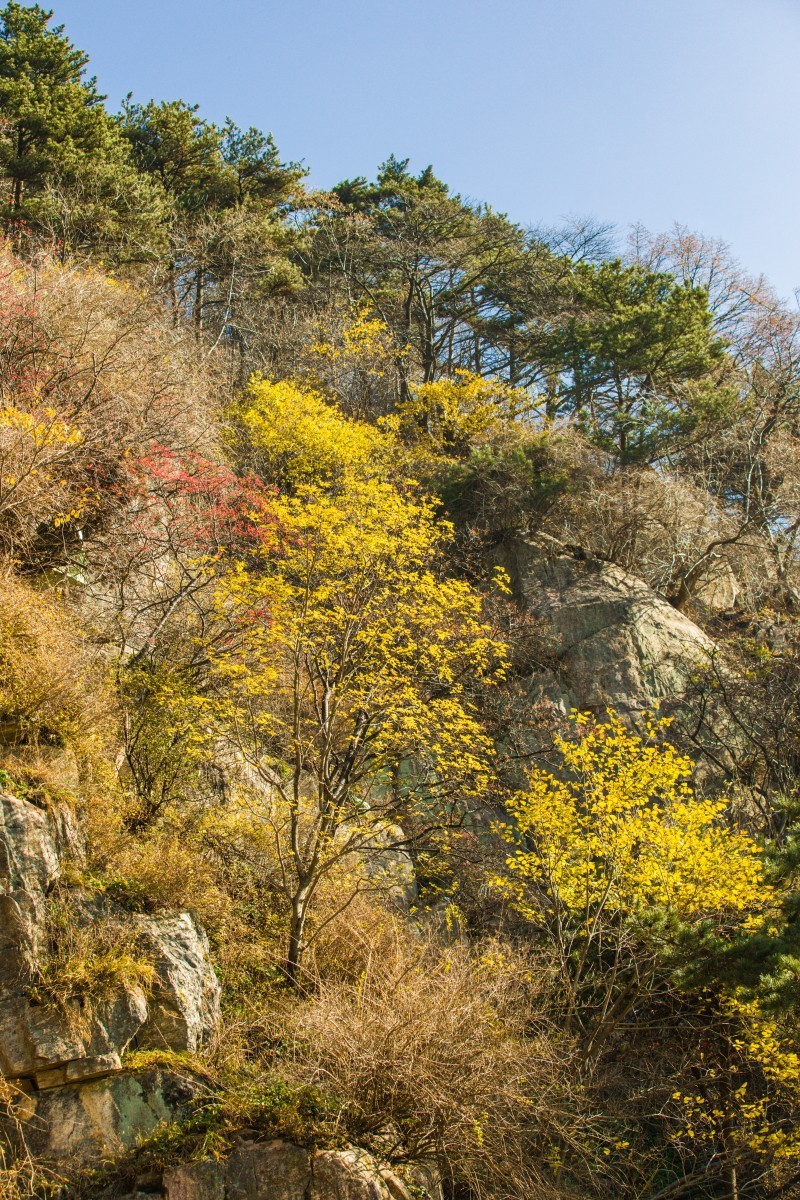 外出随拍（续372）.