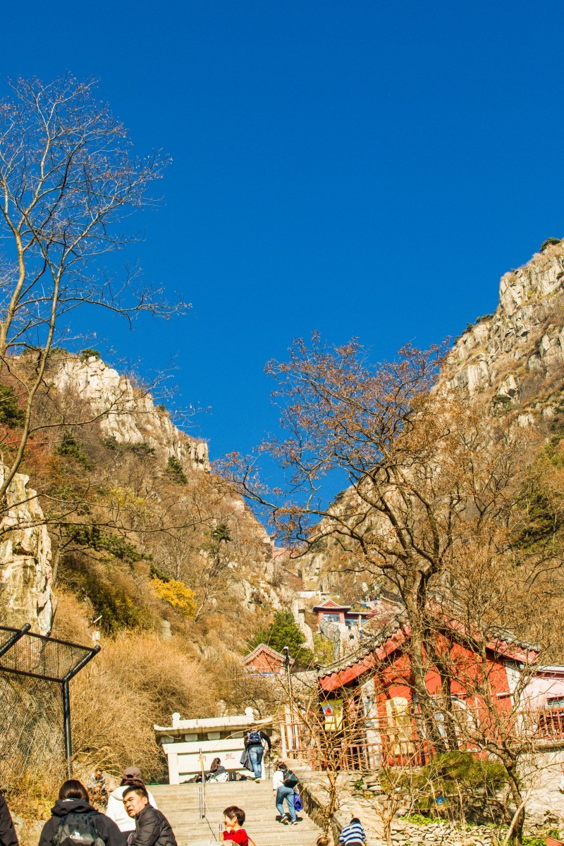 外出随拍（续372）.