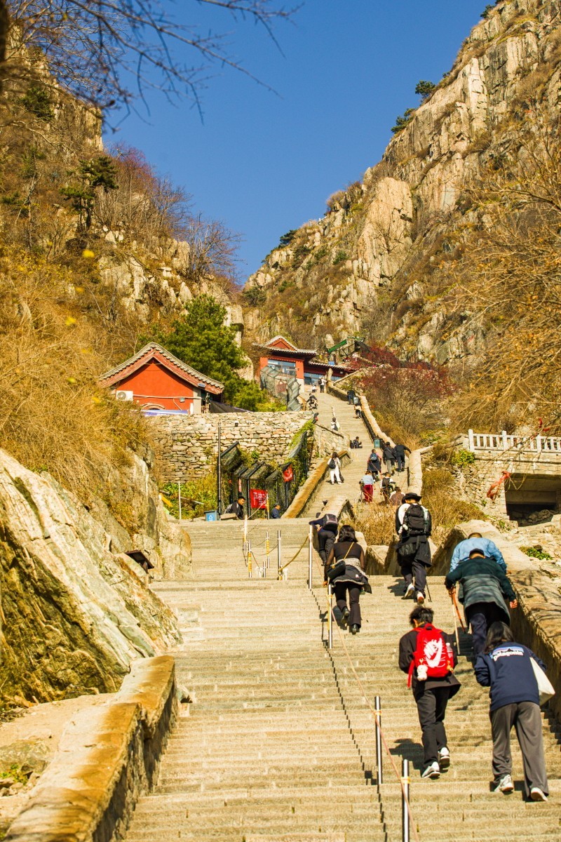 外出随拍（续372）.