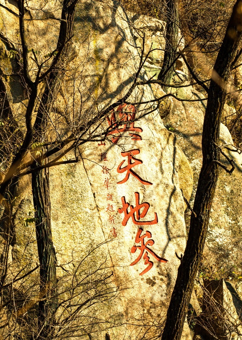 外出随拍（续372）.