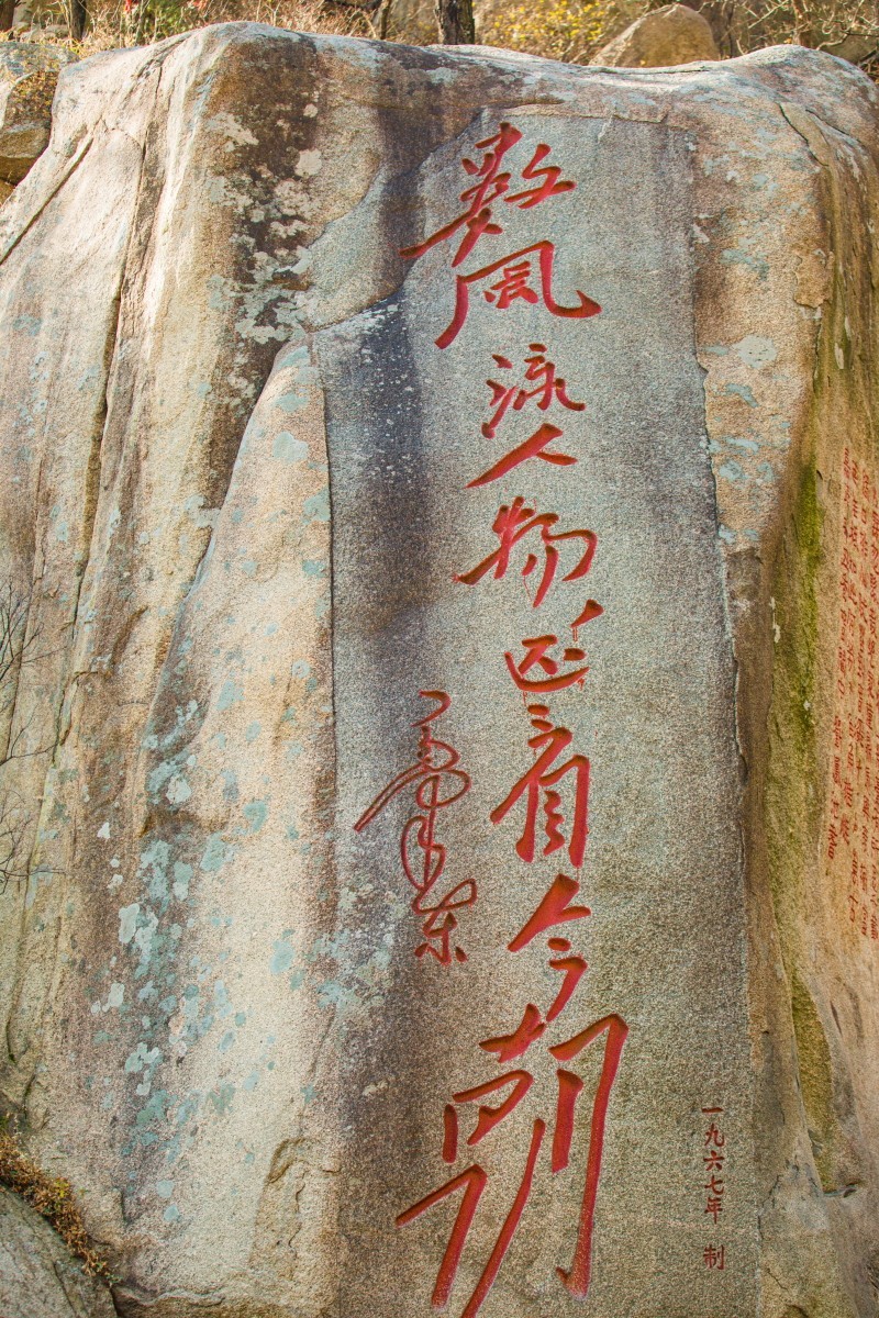 外出随拍（续372）.