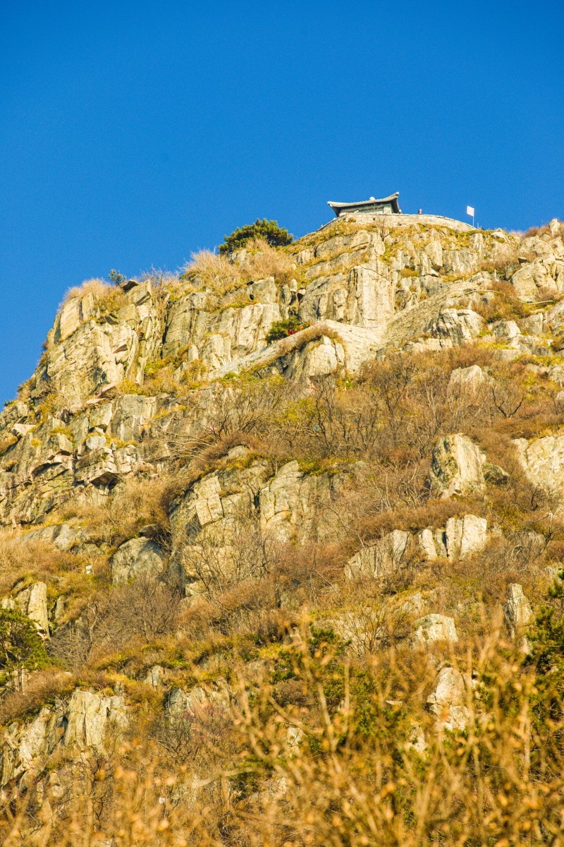 外出随拍（续372）.