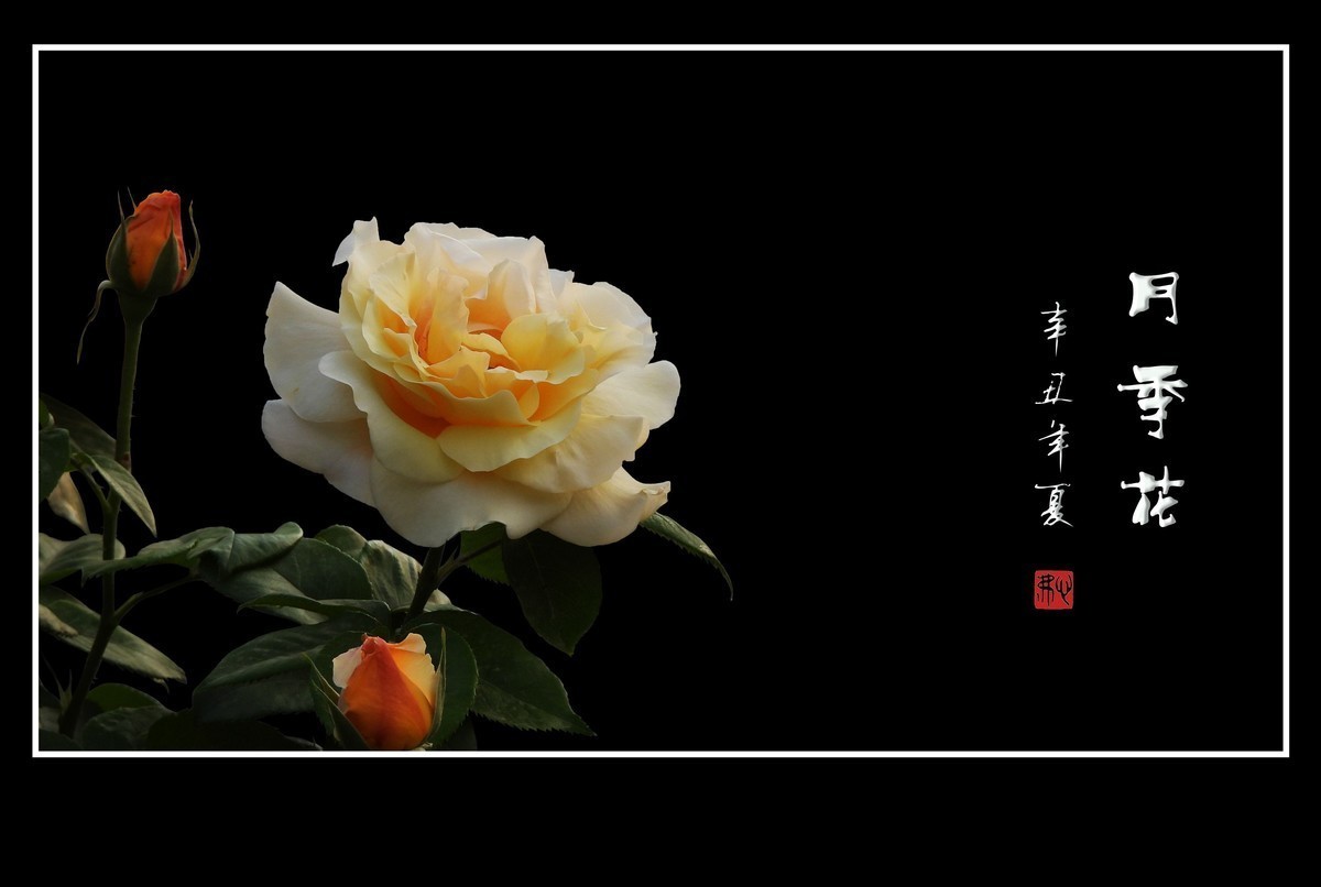 #版主坐堂#小五星空(中国)2022年3月精品荟萃