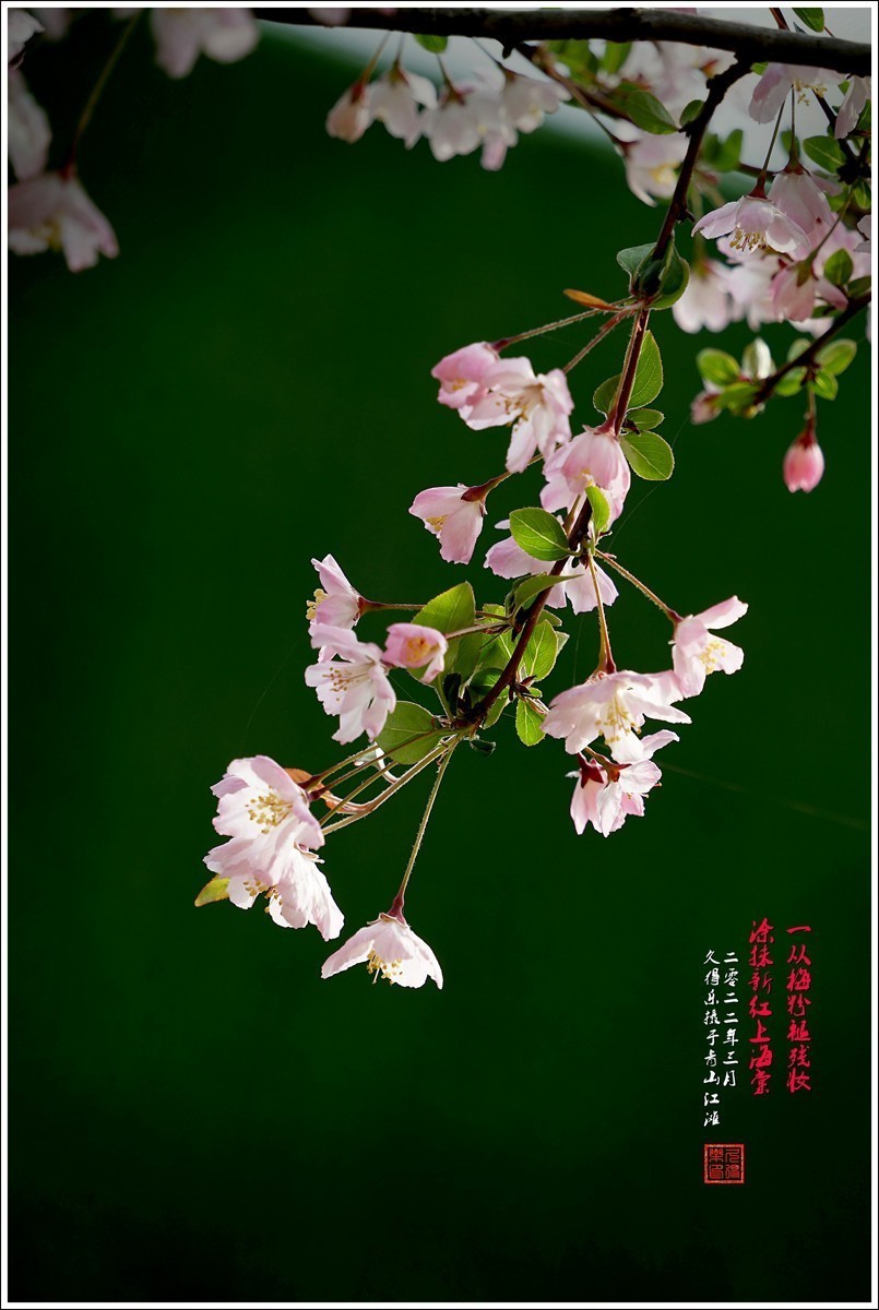 #版主坐堂#小五星空(中国)2022年3月精品荟萃