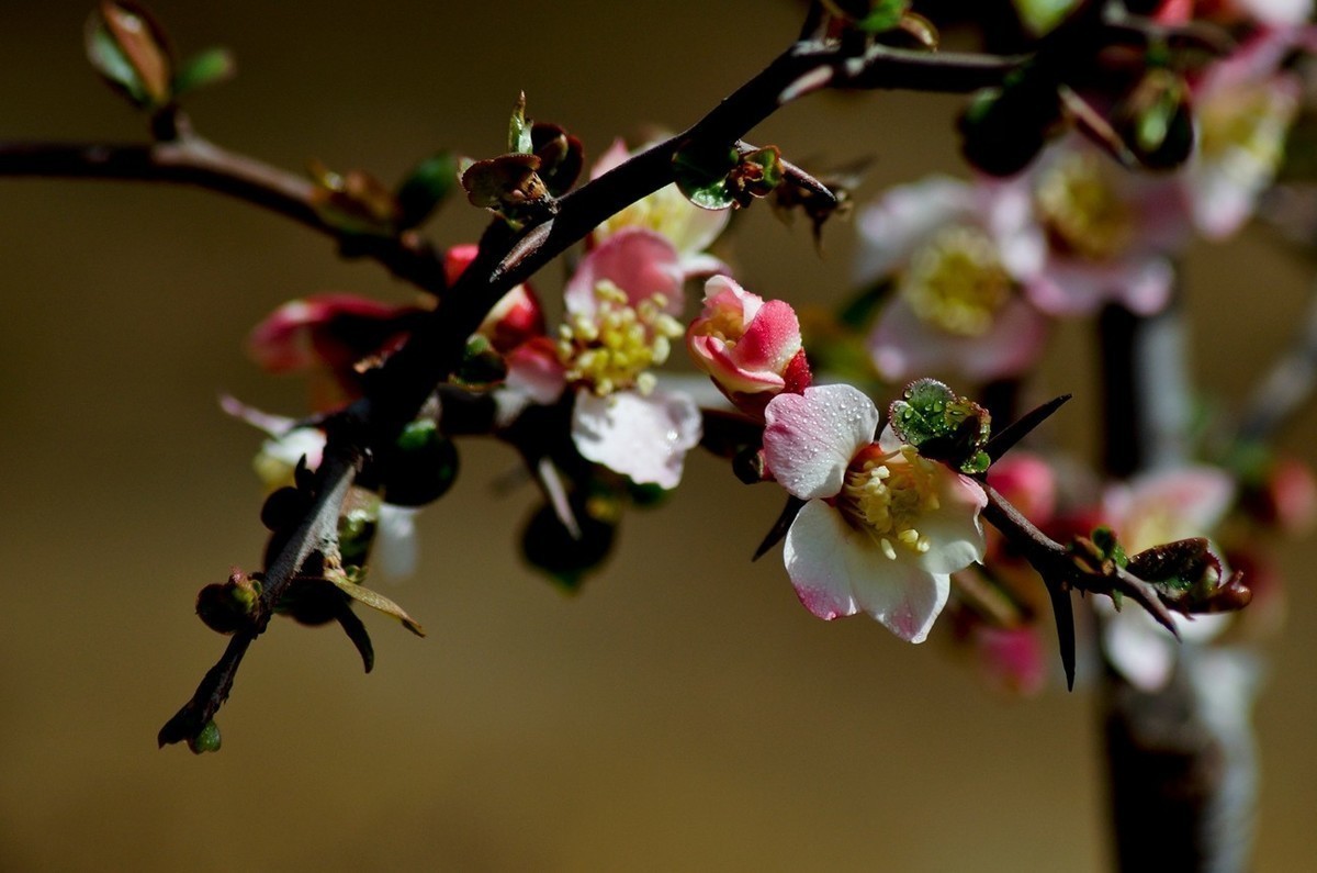 #版主坐堂#小五星空(中国)2022年3月精品荟萃