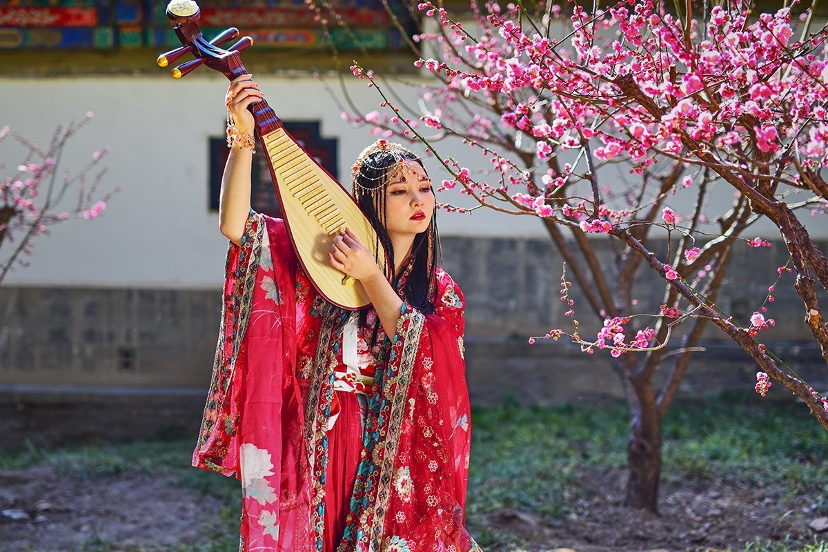 佳人梅花演绎的春日